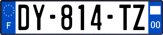 DY-814-TZ