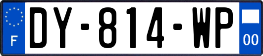 DY-814-WP