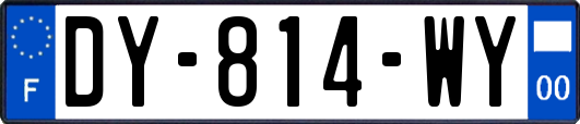 DY-814-WY