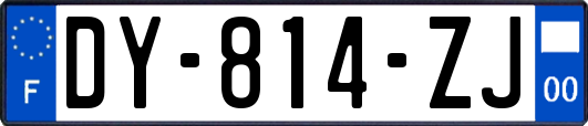 DY-814-ZJ