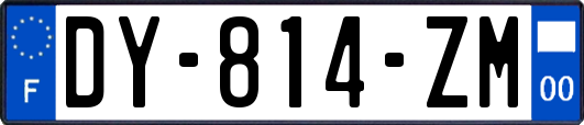 DY-814-ZM