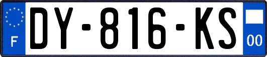 DY-816-KS