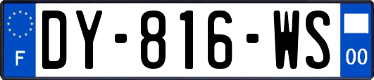 DY-816-WS