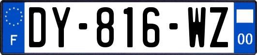 DY-816-WZ