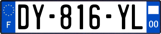 DY-816-YL