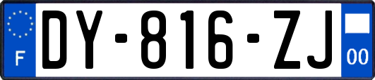 DY-816-ZJ