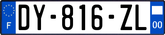 DY-816-ZL