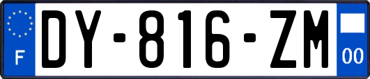 DY-816-ZM