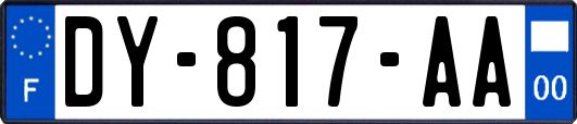 DY-817-AA