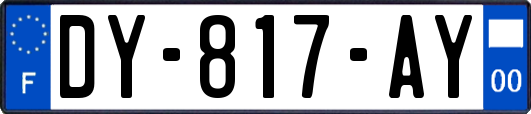 DY-817-AY