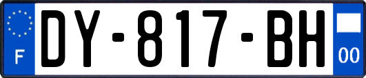 DY-817-BH