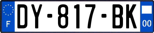DY-817-BK