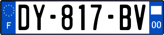 DY-817-BV