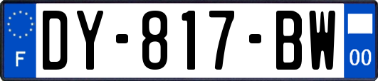 DY-817-BW