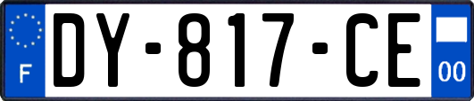 DY-817-CE