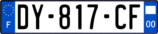 DY-817-CF
