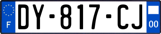 DY-817-CJ
