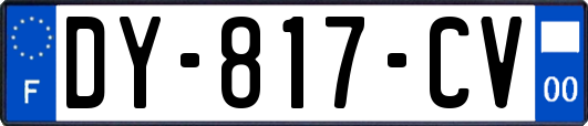 DY-817-CV