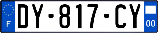 DY-817-CY