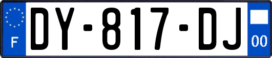 DY-817-DJ