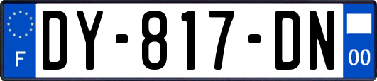 DY-817-DN