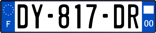 DY-817-DR