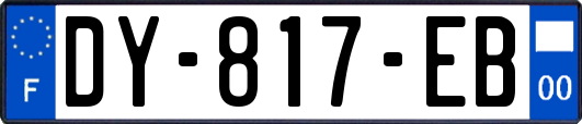 DY-817-EB