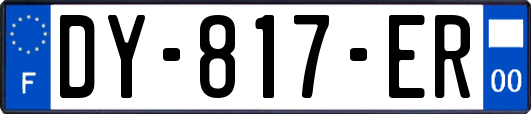 DY-817-ER