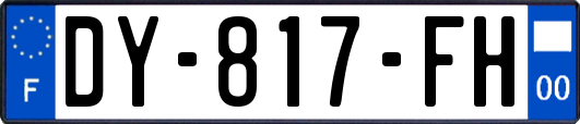 DY-817-FH