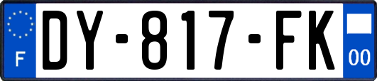 DY-817-FK