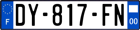 DY-817-FN