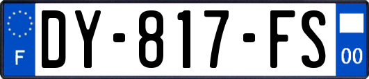DY-817-FS