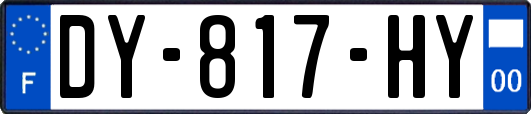 DY-817-HY