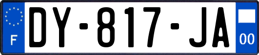 DY-817-JA