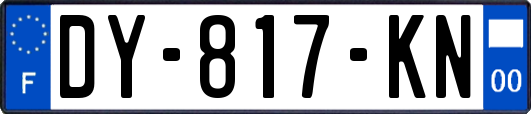 DY-817-KN