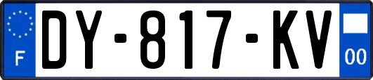 DY-817-KV