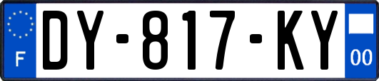 DY-817-KY