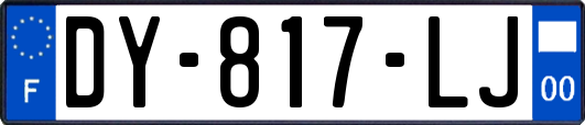 DY-817-LJ