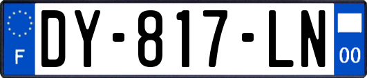 DY-817-LN
