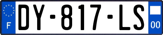 DY-817-LS