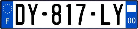 DY-817-LY