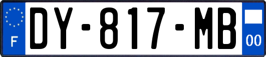 DY-817-MB