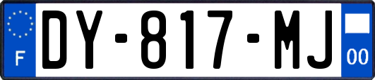 DY-817-MJ