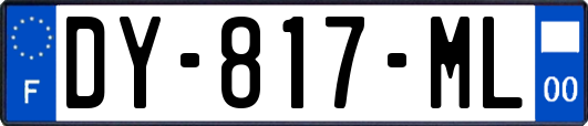 DY-817-ML