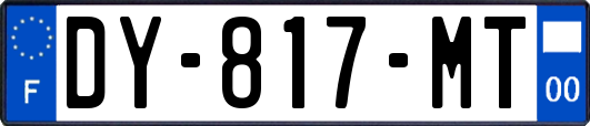 DY-817-MT