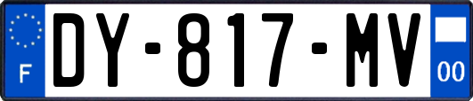 DY-817-MV