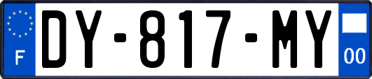 DY-817-MY