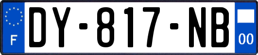 DY-817-NB