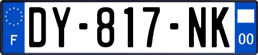 DY-817-NK