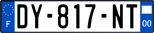 DY-817-NT